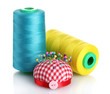 Bobbins of thread with colored pinheads in pin-cushion isolated