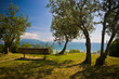 Panchina con vista sul mare Lazise Emilia Romagna Italia Panchina con vista sul mare Lazise Emilia Romagna Italia