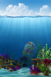 Waterline and underwater background Waterline and underwater background
