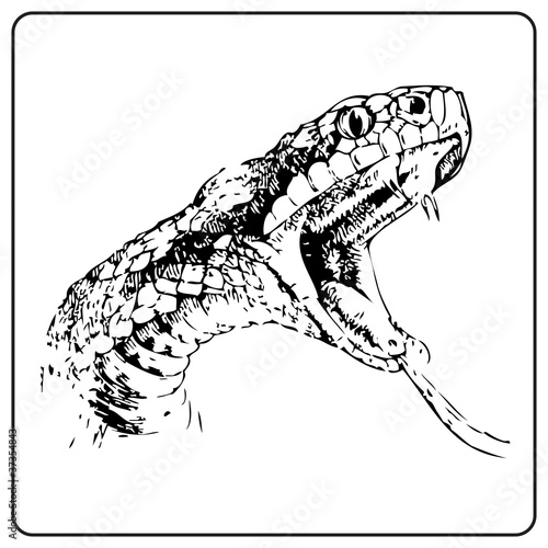Illustration: Kobra Kobra