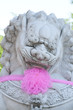Chinese Lion