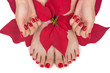 Photo en ligne au meilleur prix Christmas Spa