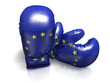 BOXING GLOVES EUROPEAN UNION