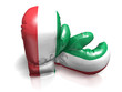 BOXING GLOVES HUNGARY