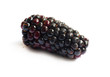 Black Berries on white