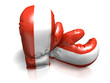 BOXING GLOVES AUSTRIA