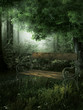 Night Forest Background