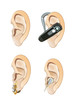 ear