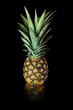 pineapple on black pineapple on black