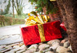 Foto: Geschenk Geschenk