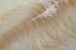 Fresh raw cod fillet