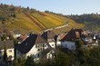 Weinberg