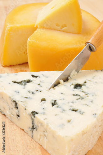 Photo: cheese cheese
