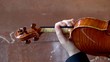 Violino, riccio e mano sinistra