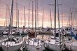 moored yachts at sunset