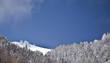 alps in winter alps in winter