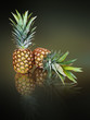 two pineapples two pineapples