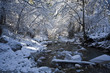 river stream in winter river stream in winter