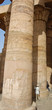 Papyrus shaped column in Kom Ombo temple, Egypt