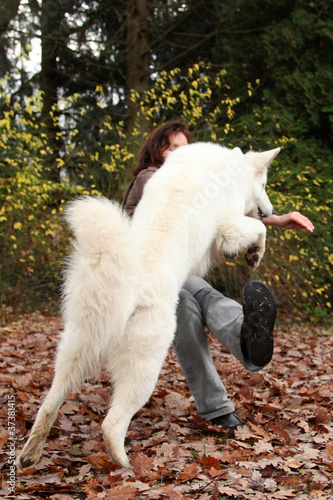 Photo: Angriff eines Hundes Angriff eines Hundes