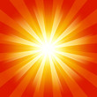 *Sunshine11