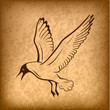 flying bird