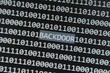 Hintertür im Netz