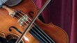 Violino e arco, violinista solista.