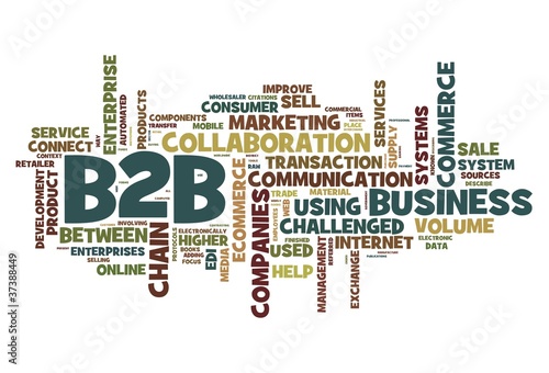 Illustration: B2B concept in tag cloud on white background B2B concept in tag cloud on white background
