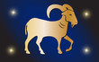 zodiac sign of Capricorn