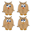 owl vector set. different emotion.isolated cute characters