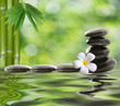 spa stones with frangipani