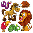 Animals Collection