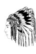 Portrait of chief indian