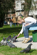 little girl feeding Pigeons in the park