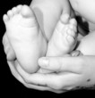 Baby