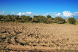 campi agricoli