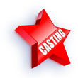 Casting Button