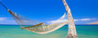 Tropical Hammock in Hawaii