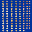 Euro coin