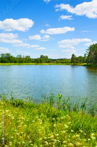 Photo: Summer Landscape Summer Landscape