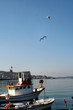 spectacular sea views three