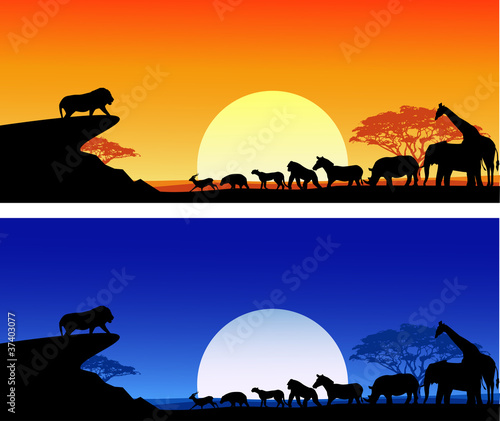 Vector: Safari background silhouette Safari background silhouette