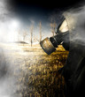 Field Of Terror