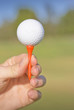 Hand Holding Golf Ball And Tee