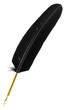 plume calligraphie acier doré