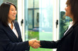 businesswomen shaking hands