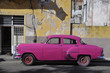 fushia