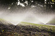 Automated Water Sprinklers
