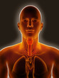 Throat Inflamation